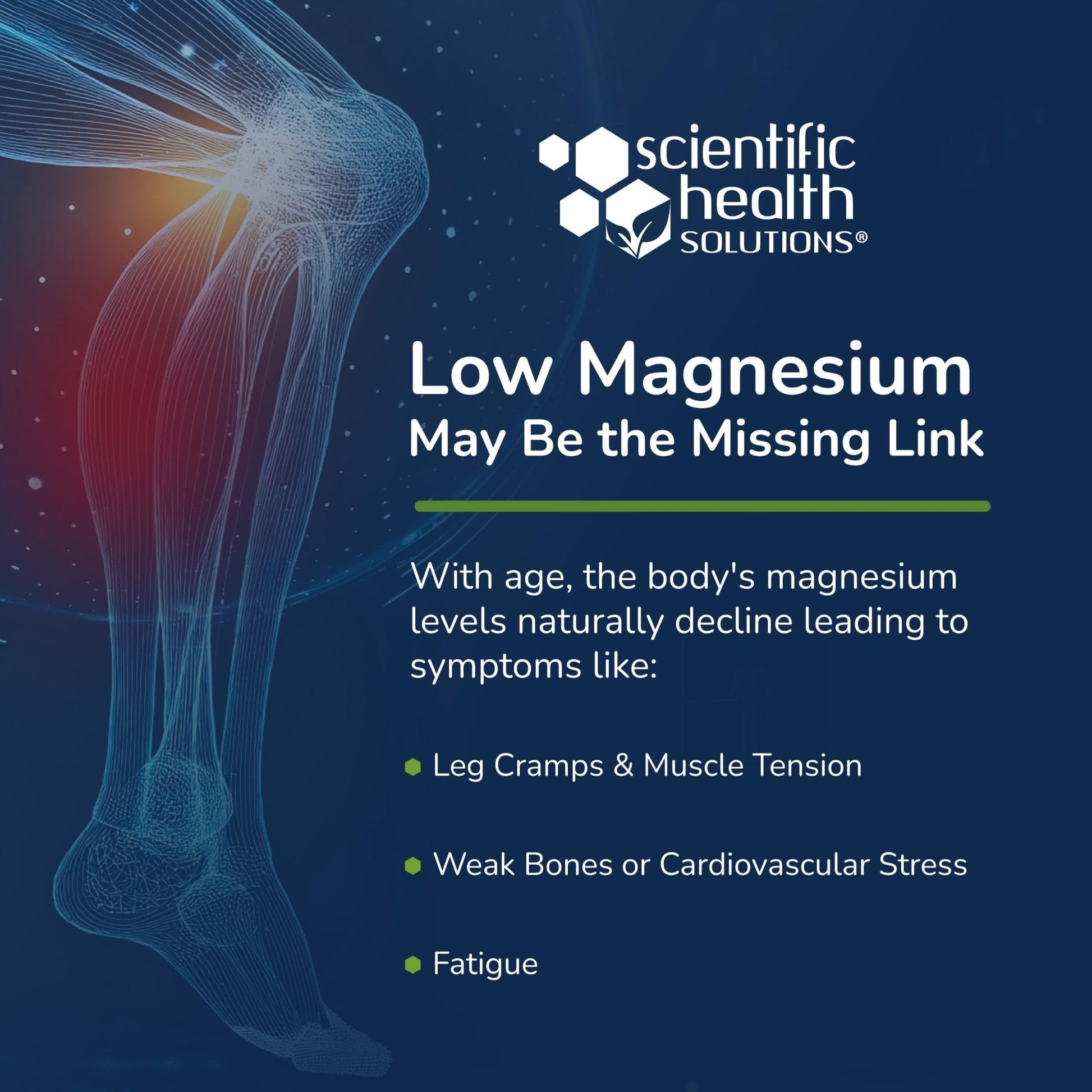 Scientific Health Solutions Magnesium Glycinate 150 mg – High‑Absorption Magnesium for Heart, Bone & Muscle Health – Supports Leg Cramps & Cardiovascular Function – Gentle on Stomach, Vegan, 60 Count - Maple Wellness Supplements