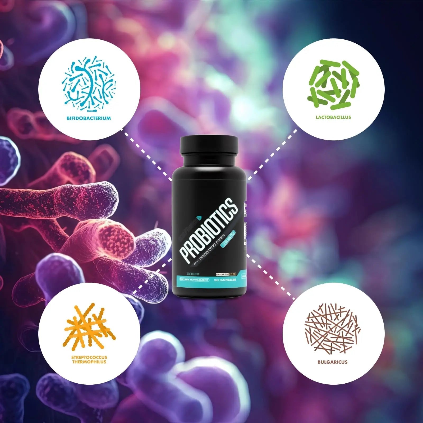 Sculpt Nation by V Shred Premium Probiotics - Digestive & Gut Health Support - Helps with Occasional Constipation, Gas and Bloating - 30-Day Supply - Maple Wellness Supplements