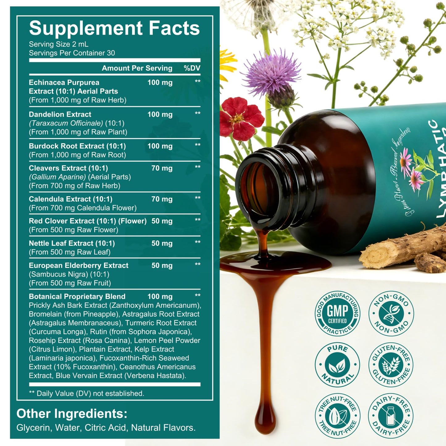 SDJUFEI 21-in-1 Lymphatic Drainage Drops， Lymphatic Support Liquid Drops with Turmeric, Echinacea, Elderberry & Dandelion, for Women & Men, 2 fl oz - Maple Wellness Supplements