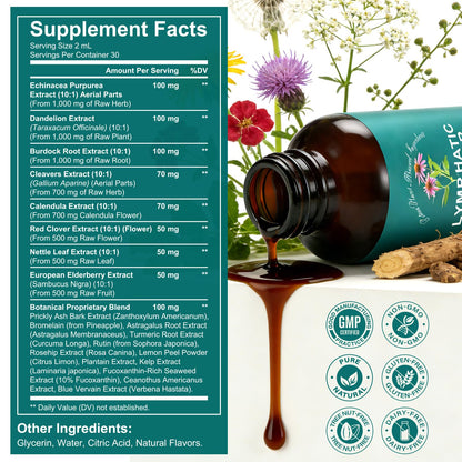 SDJUFEI 21-in-1 Lymphatic Drainage Drops， Lymphatic Support Liquid Drops with Turmeric, Echinacea, Elderberry & Dandelion, for Women & Men, 2 fl oz - Maple Wellness Supplements