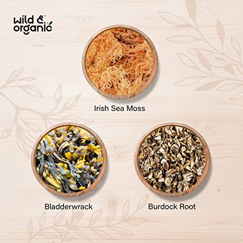Sea Moss Capsules - 180 Caps Wildcrafted Irish Moss, Burdock Root & Bladderwrack - Maple Wellness Supplements