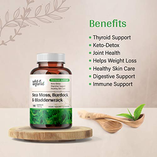 Sea Moss Capsules - 180 Caps Wildcrafted Irish Moss, Burdock Root & Bladderwrack - Maple Wellness Supplements