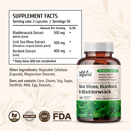 Sea Moss Capsules - 180 Caps Wildcrafted Irish Moss, Burdock Root & Bladderwrack - Maple Wellness Supplements
