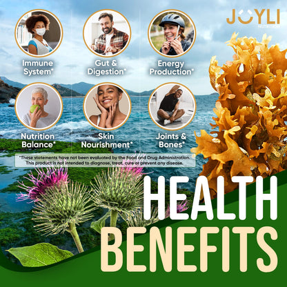 Sea Moss Gummies - Irish Seamoss Gummies for Adults & Kids - Advanced Superfood - Maple Wellness Supplements