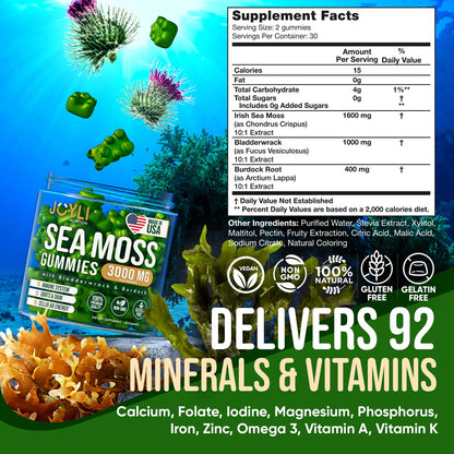 Sea Moss Gummies - Irish Seamoss Gummies for Adults & Kids - Advanced Superfood - Maple Wellness Supplements