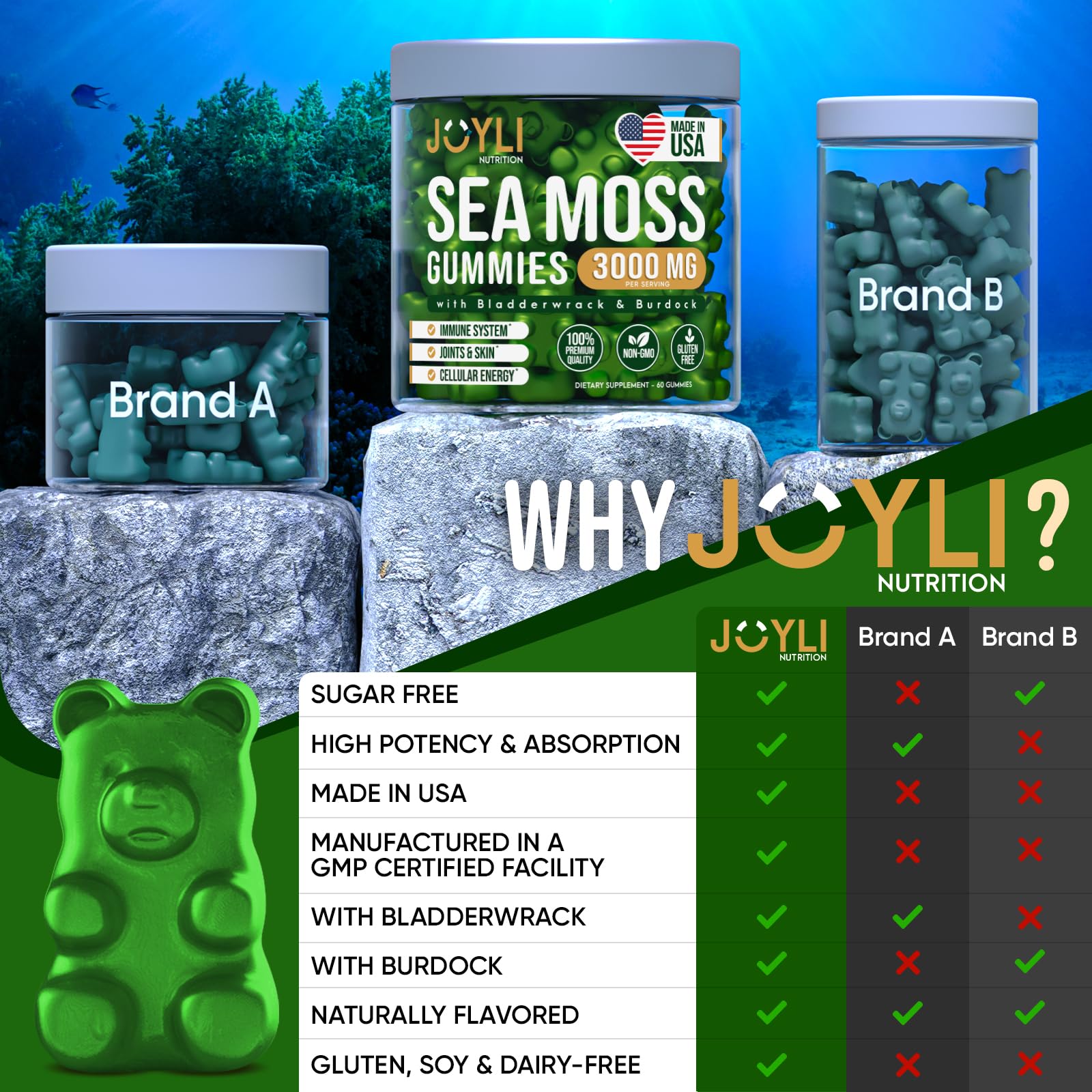 Sea Moss Gummies - Irish Seamoss Gummies for Adults & Kids - Advanced Superfood Supplement with Natural Sea Moss Gel, Bladderwrack & Burdock Root Extract - 60 Vegan Irish Moss Gummy Bears - Maple Wellness Supplements