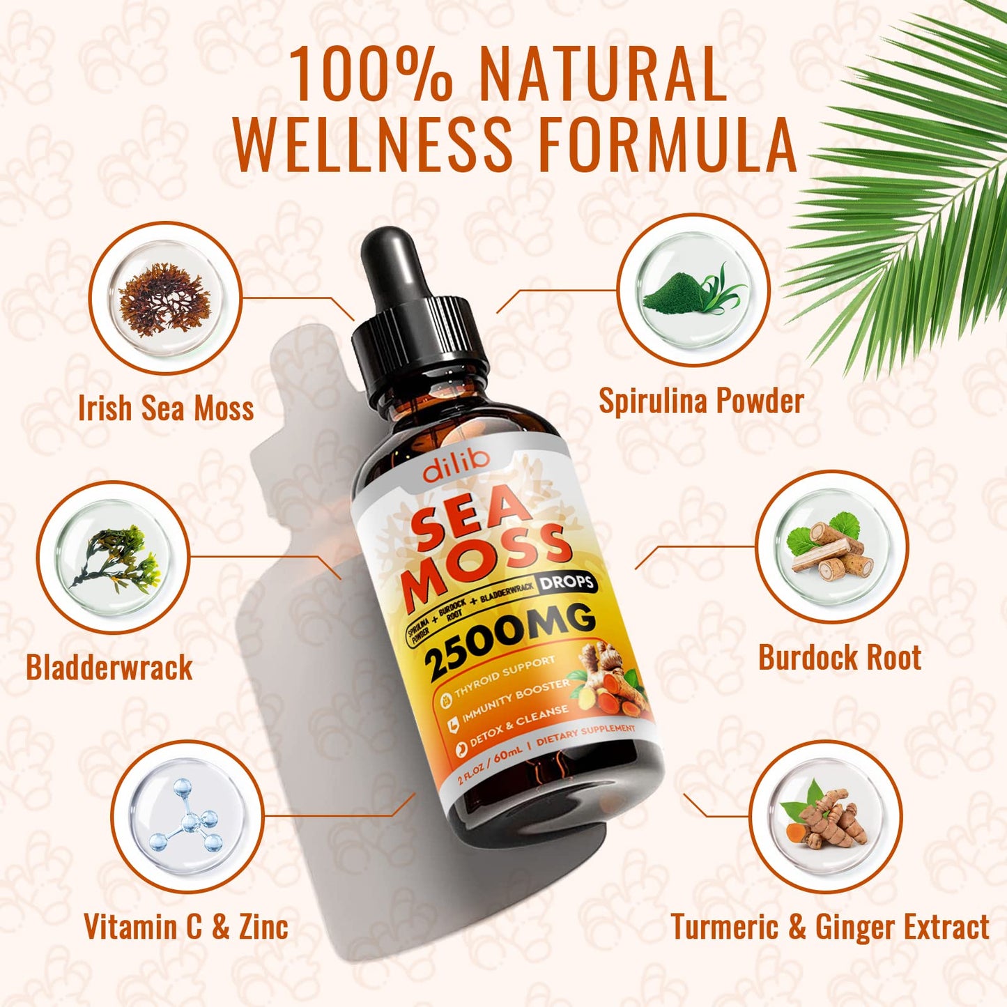 Sea Moss Liquid Drops: Organic Irish Sea Moss 2500mg with Turmeric, Bladderwrack - Maple Wellness Supplements