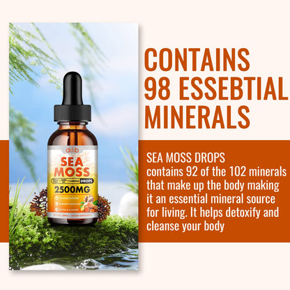 Sea Moss Liquid Drops: Organic Irish Sea Moss 2500mg with Turmeric, Bladderwrack - Maple Wellness Supplements