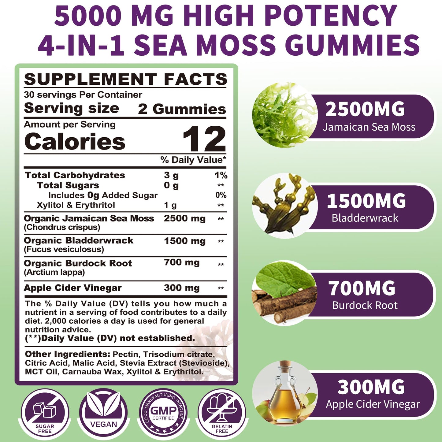 Sea Moss Supplement 5000mg, Sugar Free Sea Moss Gummies, Irish Sea Moss - Maple Wellness Supplements