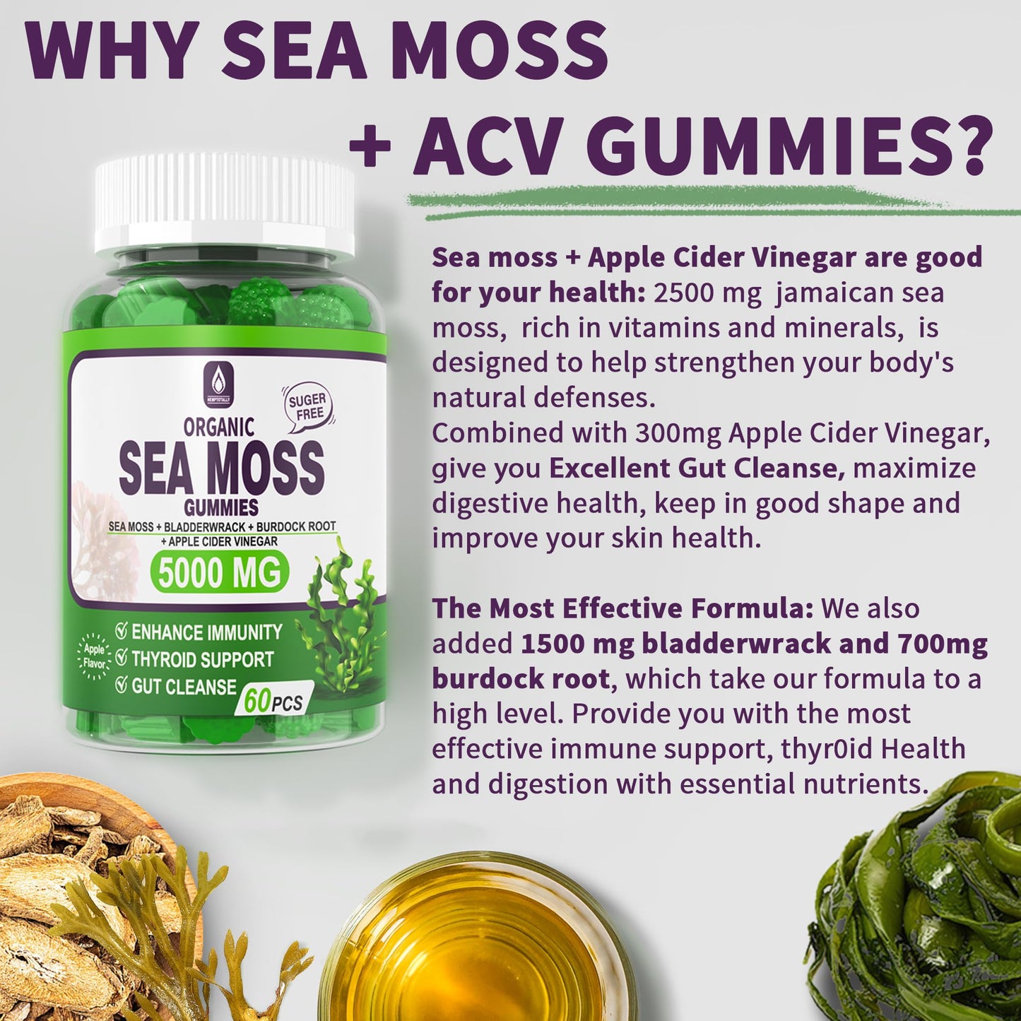 Sea Moss Supplement 5000mg, Sugar Free Sea Moss Gummies, Irish Sea Moss - Maple Wellness Supplements