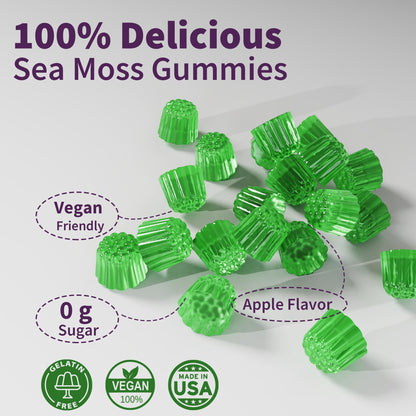 Sea Moss Supplement 5000mg, Sugar Free Sea Moss Gummies, Irish Sea Moss - Maple Wellness Supplements