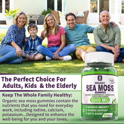 Sea Moss Supplement 5000mg, Sugar Free Sea Moss Gummies, Irish Sea Moss - Maple Wellness Supplements