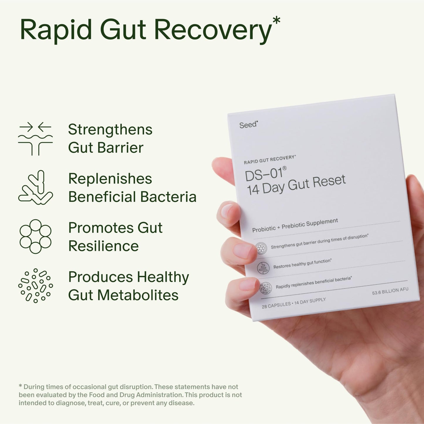 Seed 14 Day Gut Reset - Prebiotic and Probiotic for Women & Men - Digestive Health, Gut Health, Rapid Gut Recovery, Bloating & Constipation Relief - Vegan & Shelf-Stable - 28 Capsules (14-Day Supply) - Maple Wellness Supplements