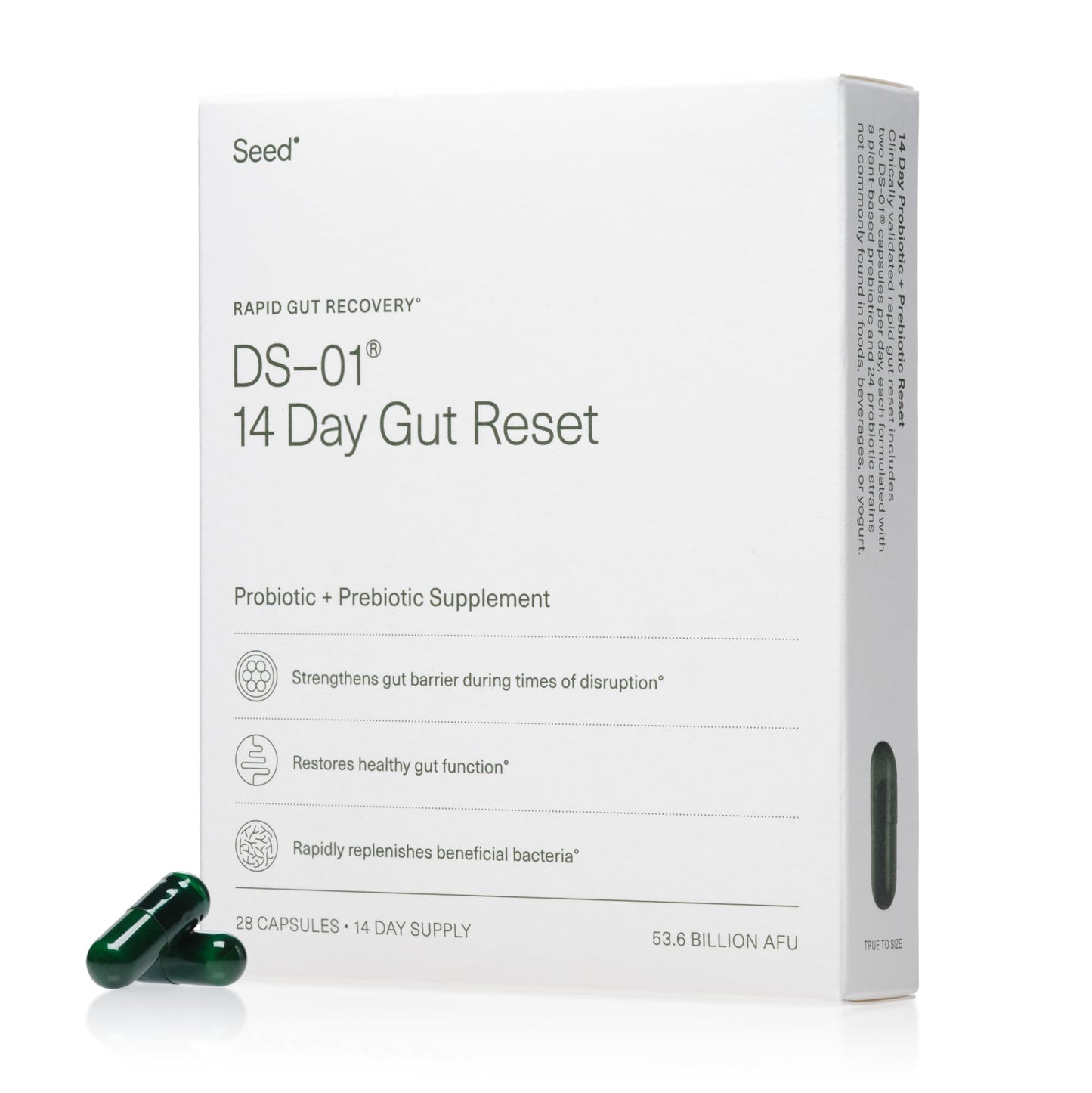 Seed 14 Day Gut Reset - Prebiotic and Probiotic for Women & Men - Digestive Health, Gut Health, Rapid Gut Recovery, Bloating & Constipation Relief - Vegan & Shelf-Stable - 28 Capsules (14-Day Supply) - Maple Wellness Supplements