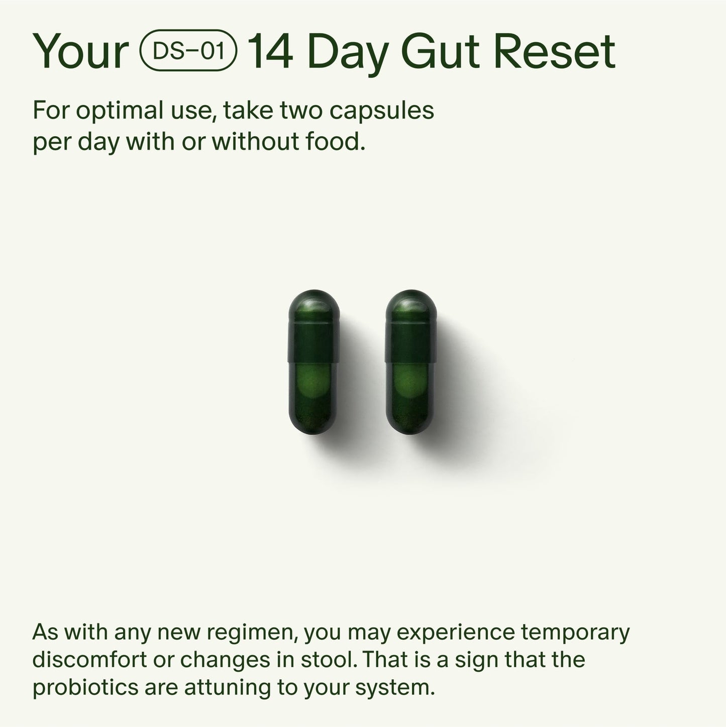 Seed 14 Day Gut Reset - Prebiotic and Probiotic for Women & Men - Digestive Health, Gut Health, Rapid Gut Recovery, Bloating & Constipation Relief - Vegan & Shelf-Stable - 28 Capsules (14-Day Supply) - Maple Wellness Supplements