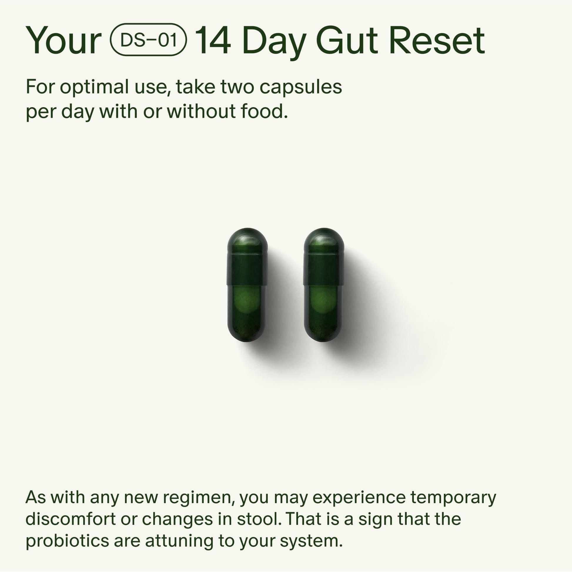 Seed 14 Day Gut Reset - Prebiotic and Probiotic for Women & Men - Digestive Health, Gut Health, Rapid Gut Recovery, Bloating & Constipation Relief - Vegan & Shelf-Stable - 28 Capsules (14-Day Supply) - Maple Wellness Supplements