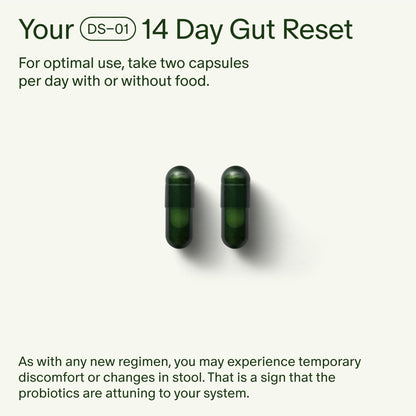 Seed 14 Day Gut Reset - Prebiotic and Probiotic for Women & Men - Digestive Health, Gut Health, Rapid Gut Recovery, Bloating & Constipation Relief - Vegan & Shelf-Stable - 28 Capsules (14-Day Supply) - Maple Wellness Supplements