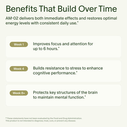 Seed AM-02 Energy + Focus - Daily Nootropic Supplement for Women & Men - Fast-Acting & Sustained Energy for Up to 6 Hours - Caffeine-Free Vegan & Shelf-Stable - 30 Capsules (30-Day Supply) - Maple Wellness Supplements
