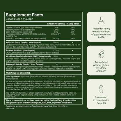 Seed AM-02 Energy + Focus - Daily Nootropic Supplement for Women & Men - Fast-Acting & Sustained Energy for Up to 6 Hours - Caffeine-Free Vegan & Shelf-Stable - 30 Capsules (30-Day Supply) - Maple Wellness Supplements