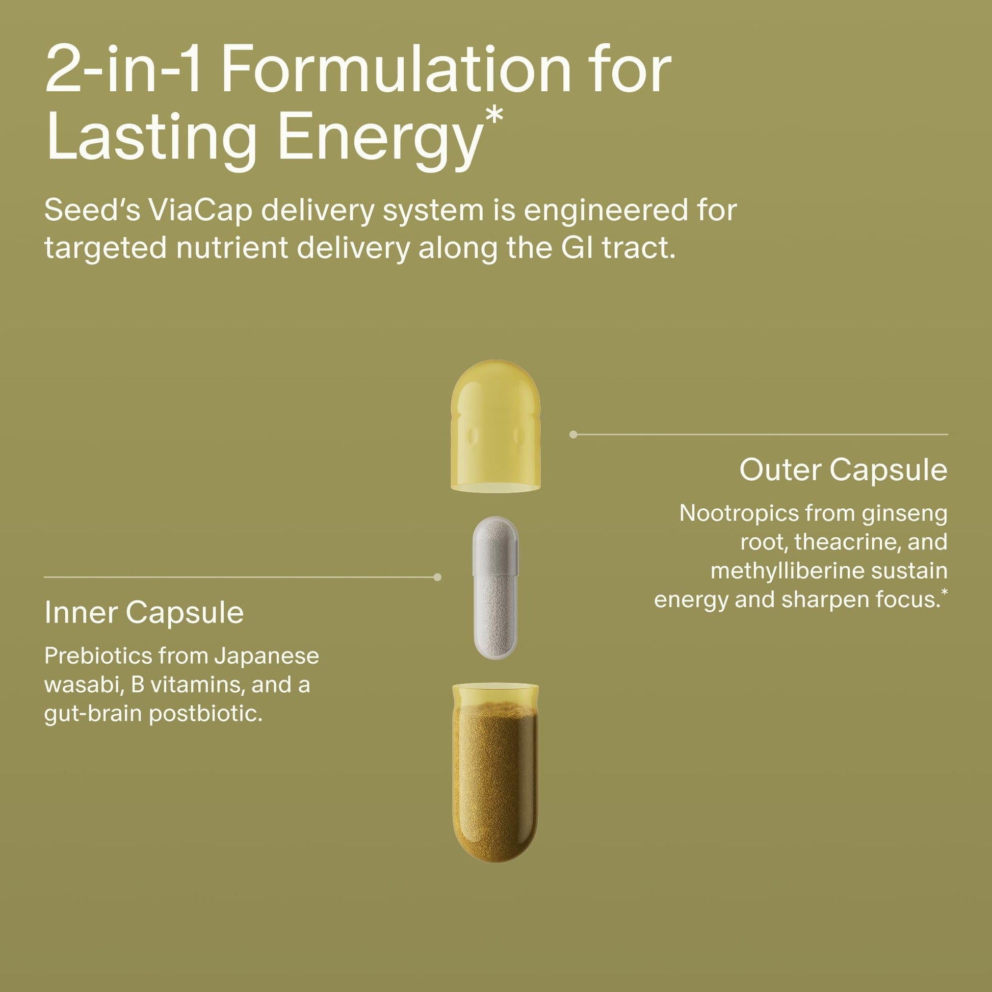 Seed AM-02 Energy + Focus - Daily Nootropic Supplement for Women & Men - Fast-Acting & Sustained Energy for Up to 6 Hours - Caffeine-Free Vegan & Shelf-Stable - 30 Capsules (30-Day Supply) - Maple Wellness Supplements