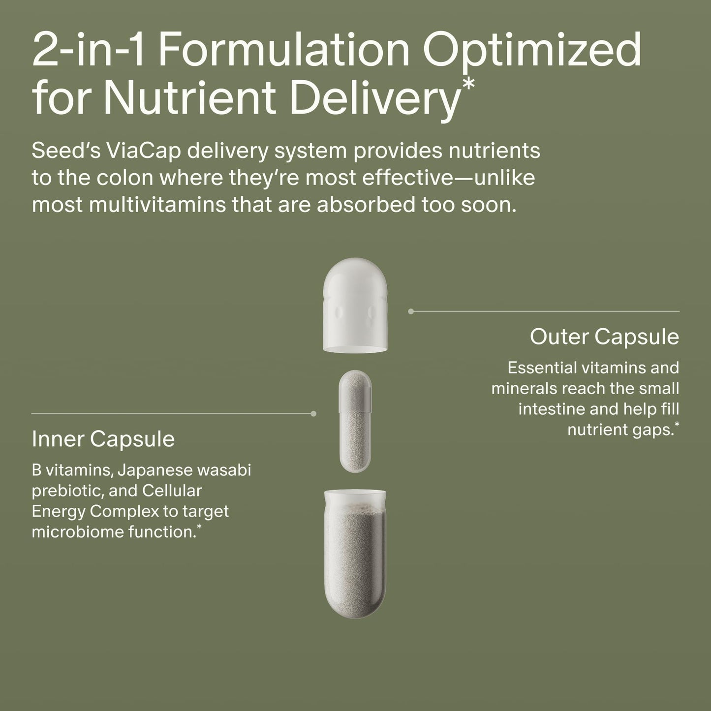 Seed DM-02 Daily Multivitamin - 100% DV Essential Vitamins and Minerals for Women & Men - Helps Fill Daily Nutrient Gaps - Immune, Bone, Hair, Skin & Nails Health - Vegan - 30 Capsules (30-Day Supply) - Maple Wellness Supplements
