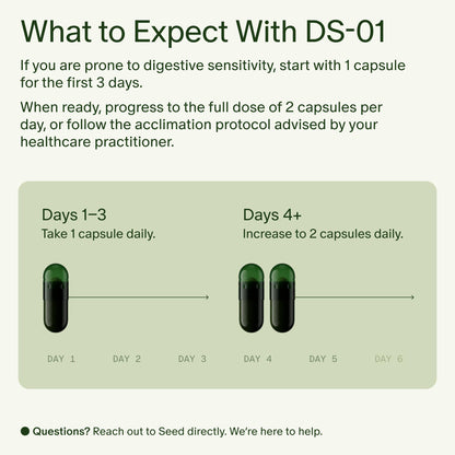 Seed DS-01 Daily Synbiotic - Prebiotic and Probiotic for Women & Men - Digestive Health, Gut Health, Immune Support, Bloating & Constipation Relief - Vegan & Shelf-Stable - 30-Day Starter (60ct) - Maple Wellness Supplements