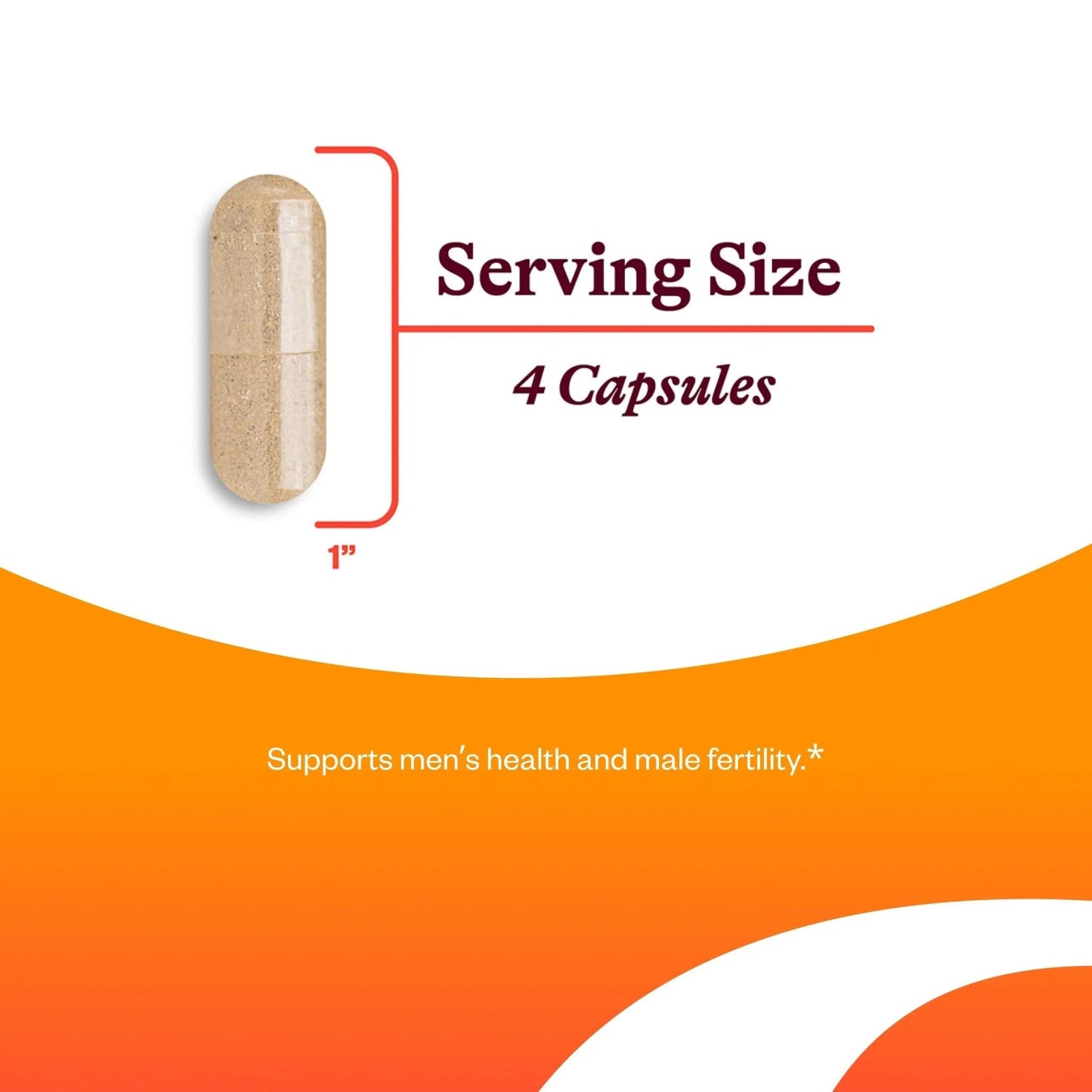 Seeking Health Optimal Man - Multivitamin Supplement with Zinc, Active Folate, & Alpha-Lipoic Acid - Multivitamin Supports Energy & Brain Health - Support Healthy Aging - Maple Wellness Supplements