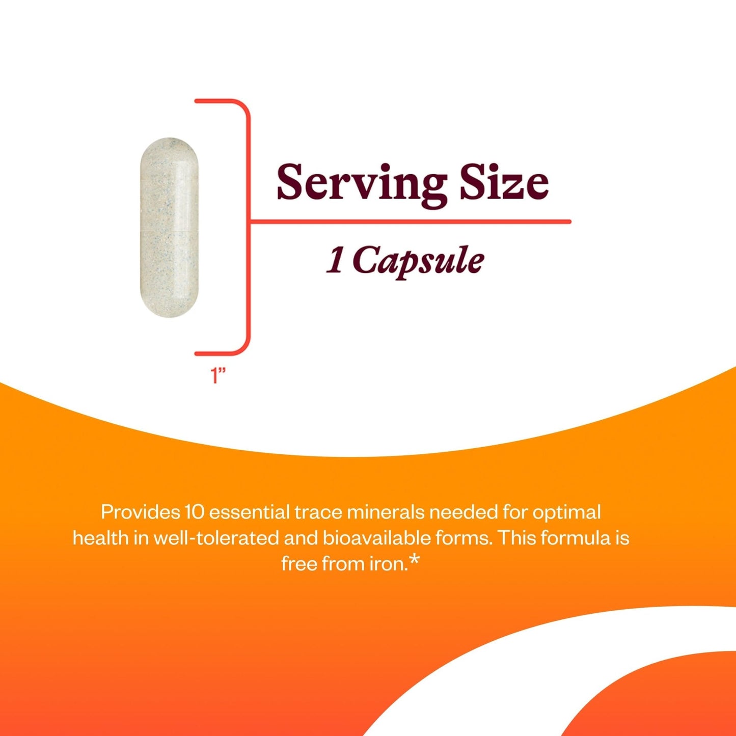 Seeking Health Trace Minerals Complex - Includes 10 Essential Trace Minerals - Mineral Supplement Supports Immune & Nervous System - Maple Wellness Supplements