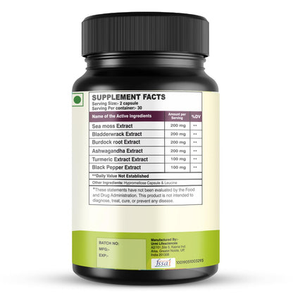 SETNUTRA Well From Within Sea Moss 6 in 1 Super Blend Ashwagandha Burdock Turmeric & Bladderwrack Immunity & Detox Support 60 Veg Capsules Non GMO No Gluten - Maple Wellness Supplements