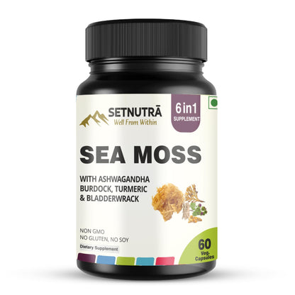 SETNUTRA Well From Within Sea Moss 6 in 1 Super Blend Ashwagandha Burdock Turmeric & Bladderwrack Immunity & Detox Support 60 Veg Capsules Non GMO No Gluten - Maple Wellness Supplements