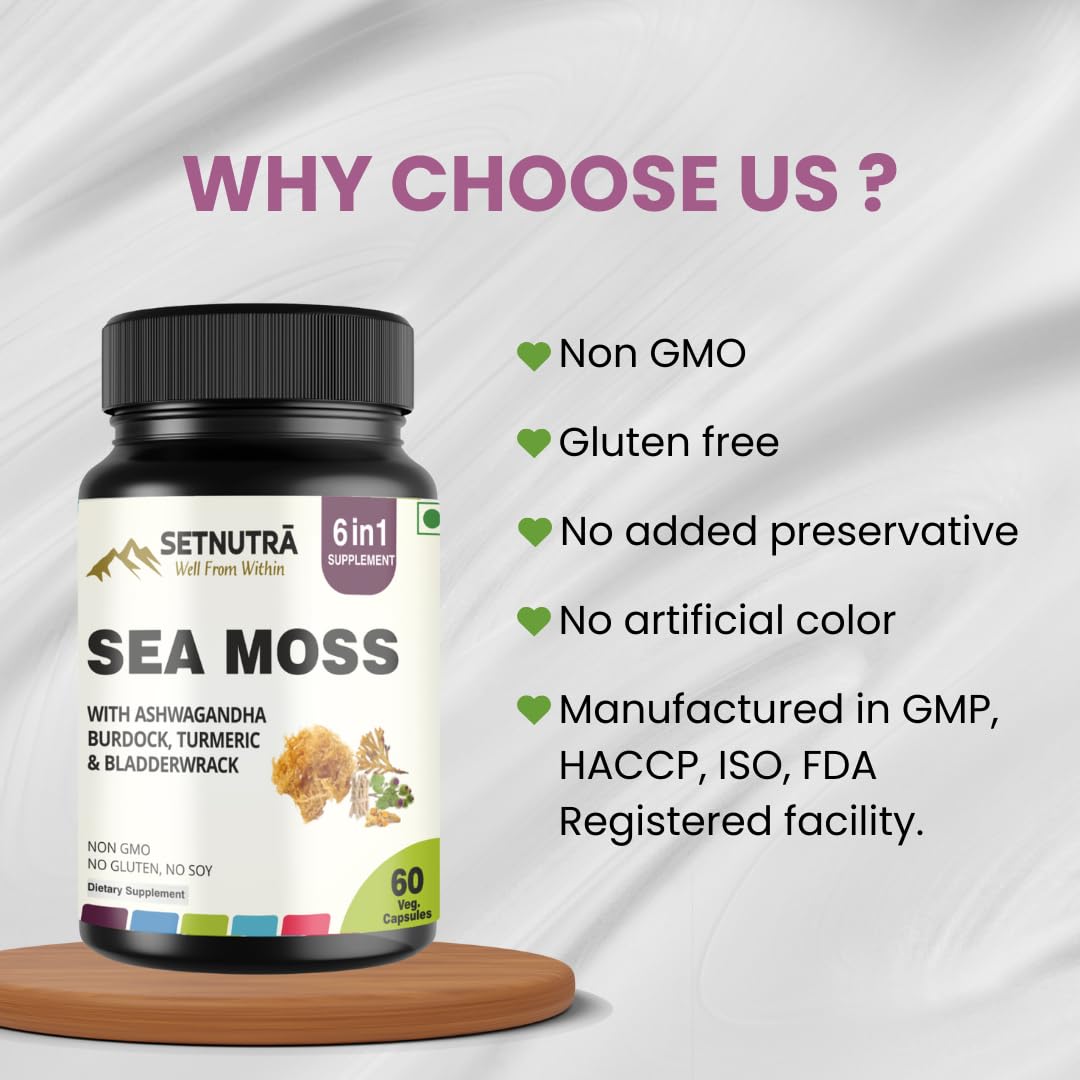 SETNUTRA Well From Within Sea Moss 6 in 1 Super Blend Ashwagandha Burdock Turmeric & Bladderwrack Immunity & Detox Support 60 Veg Capsules Non GMO No Gluten - Maple Wellness Supplements