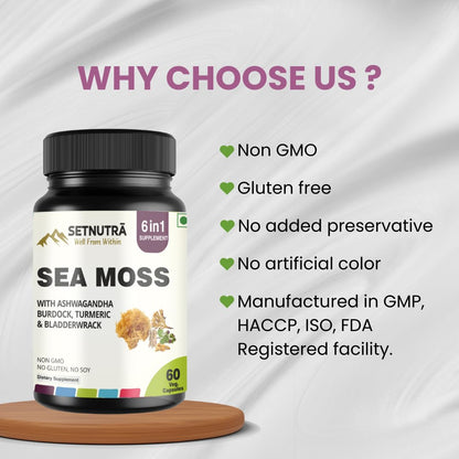 SETNUTRA Well From Within Sea Moss 6 in 1 Super Blend Ashwagandha Burdock Turmeric & Bladderwrack Immunity & Detox Support 60 Veg Capsules Non GMO No Gluten - Maple Wellness Supplements