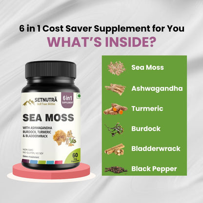 SETNUTRA Well From Within Sea Moss 6 in 1 Super Blend Ashwagandha Burdock Turmeric & Bladderwrack Immunity & Detox Support 60 Veg Capsules Non GMO No Gluten - Maple Wellness Supplements