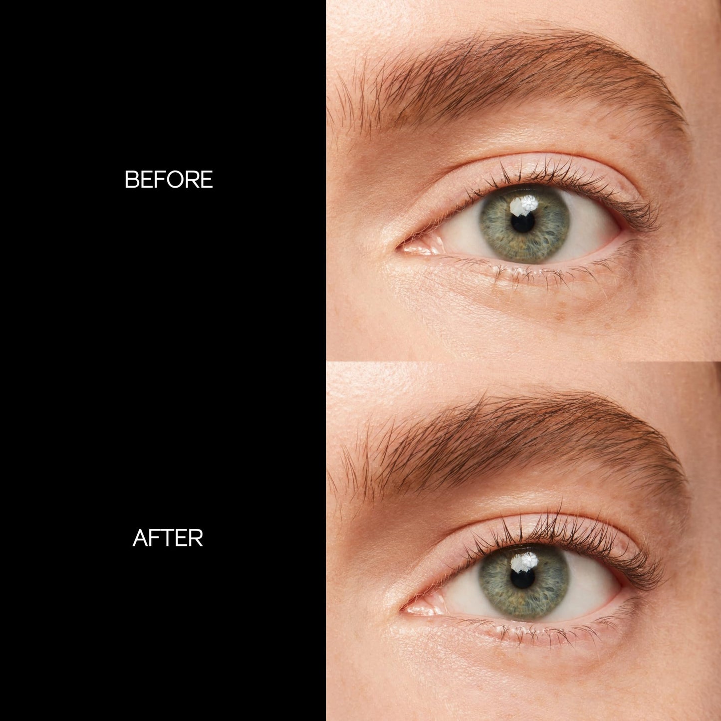 Shiseido Eyelash Curler - Crimps & Curls Lashes for Perfect, Eye-Framing Fringe - Gentle & Safe - Includes Replacement Pad - Maple Wellness Supplements