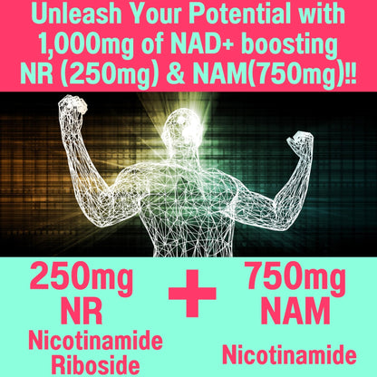 SHIZAM Nicotinamide Riboside NR NAM Resveratrol Gummies, 1000mg NAD+ NAD + Plus Nrf2 Activator Booster w Pure Niacinamide Vitamins B3 Capsules Pills Powder Supplements Alt NDA Regenerator 500mg - Maple Wellness Supplements