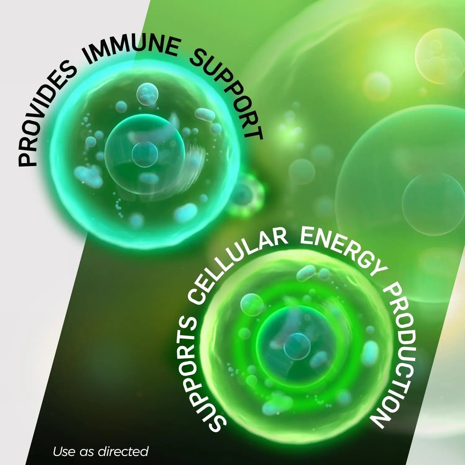 Shot B Multivitamin Complex, B-Energy, Vitamin B Complex with Antioxidant Support, B Complex Vitamins with A, C, D, E & Folic Acid - Maple Wellness Supplements