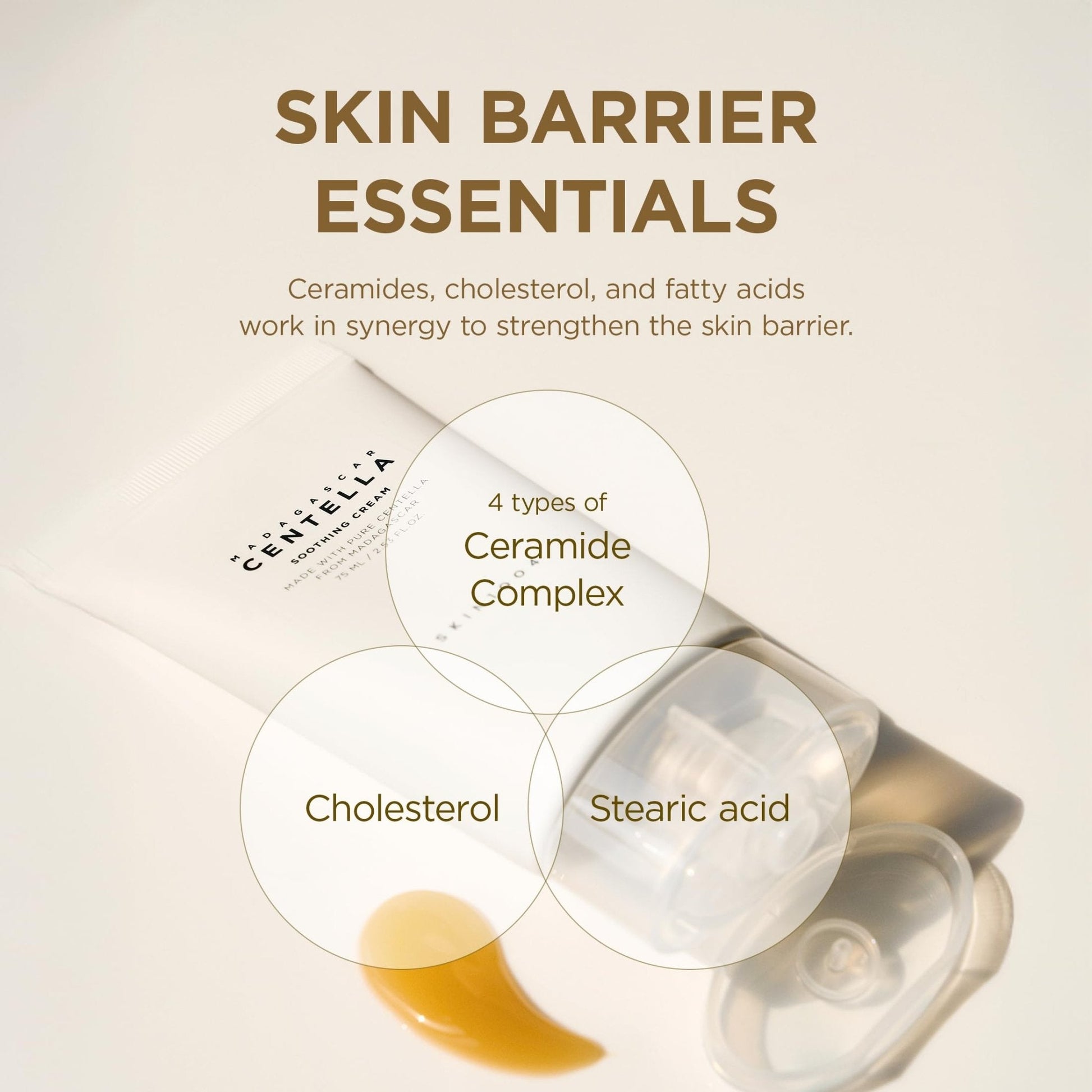 SKIN1004 Centella Soothing Cream, Face Moisturizer with Centella Asiatica, Korean Centella Moisturizer Cream for Soothing - Maple Wellness Supplements