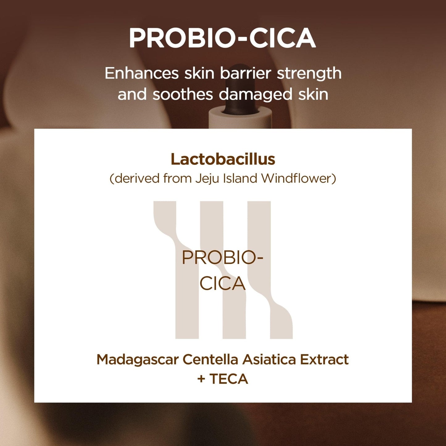 SKIN1004 Probio Cica Intensive Ampoule, Centella Serum for Face with Ceramide, Facial Serum for Nourishing & Soothing, Centella Ampoule - Maple Wellness Supplements