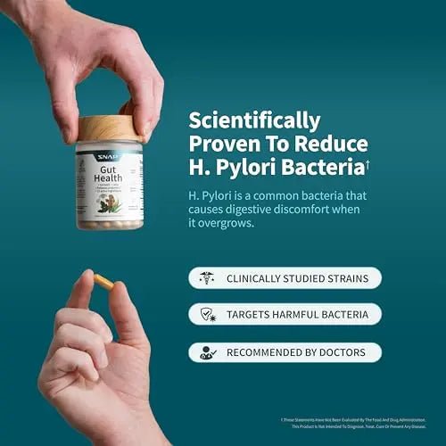 Snap Supplements Gut Health Lipase Supplement with Probiotics for Women & Men, Digestive Enzymes & Prebiotics - Turmeric, Aloe, Pylopass & Zinc, 50 Vegetarian Capsules - Maple Wellness Supplements