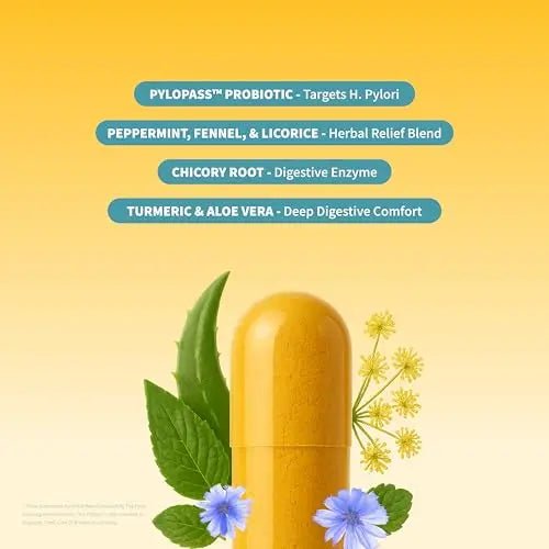 Snap Supplements Gut Health Lipase Supplement with Probiotics for Women & Men, Digestive Enzymes & Prebiotics - Turmeric, Aloe, Pylopass & Zinc, 50 Vegetarian Capsules - Maple Wellness Supplements