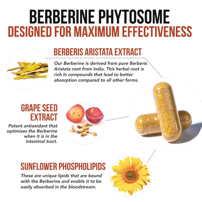 SoActive Berberine 550mg: 9.6X Higher Absorption, Clinically Proven Most Effective - Maple Wellness Supplements