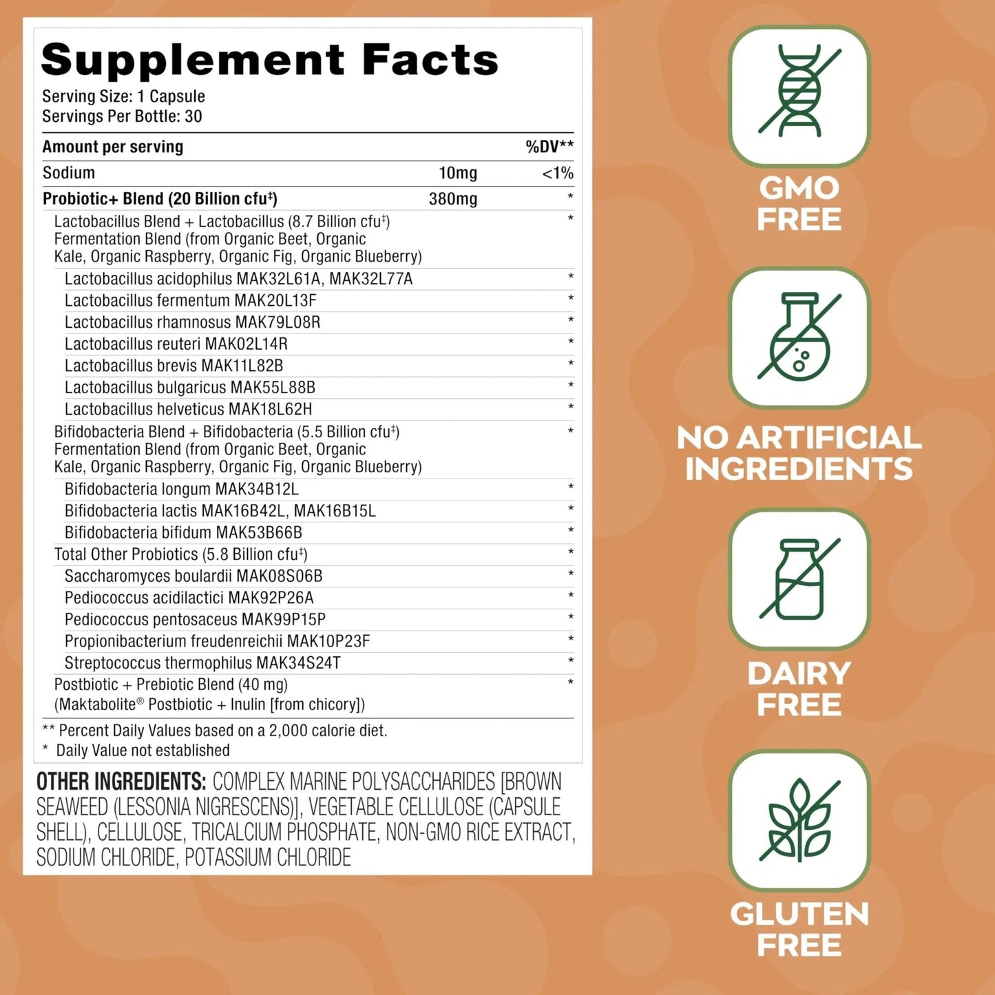 Social Naturals Daily Probiotic | 20 Billion CFU | Multi-Strain with Prebiotic + Postbiotic | Gut Health & Digestion Support | Vegan | 30 Capsules - Maple Wellness Supplements