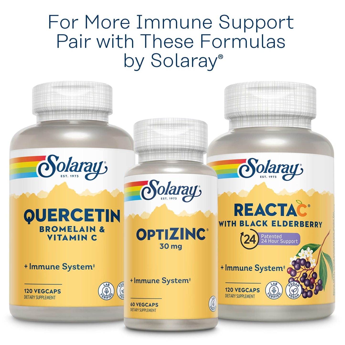 SOLARAY L-Lysine Monolaurin Immune Support Supplement, 1:1 Ratio for Immune System Function, 500 mg Each, 60-Day Money Back Guarantee - Maple Wellness Supplements