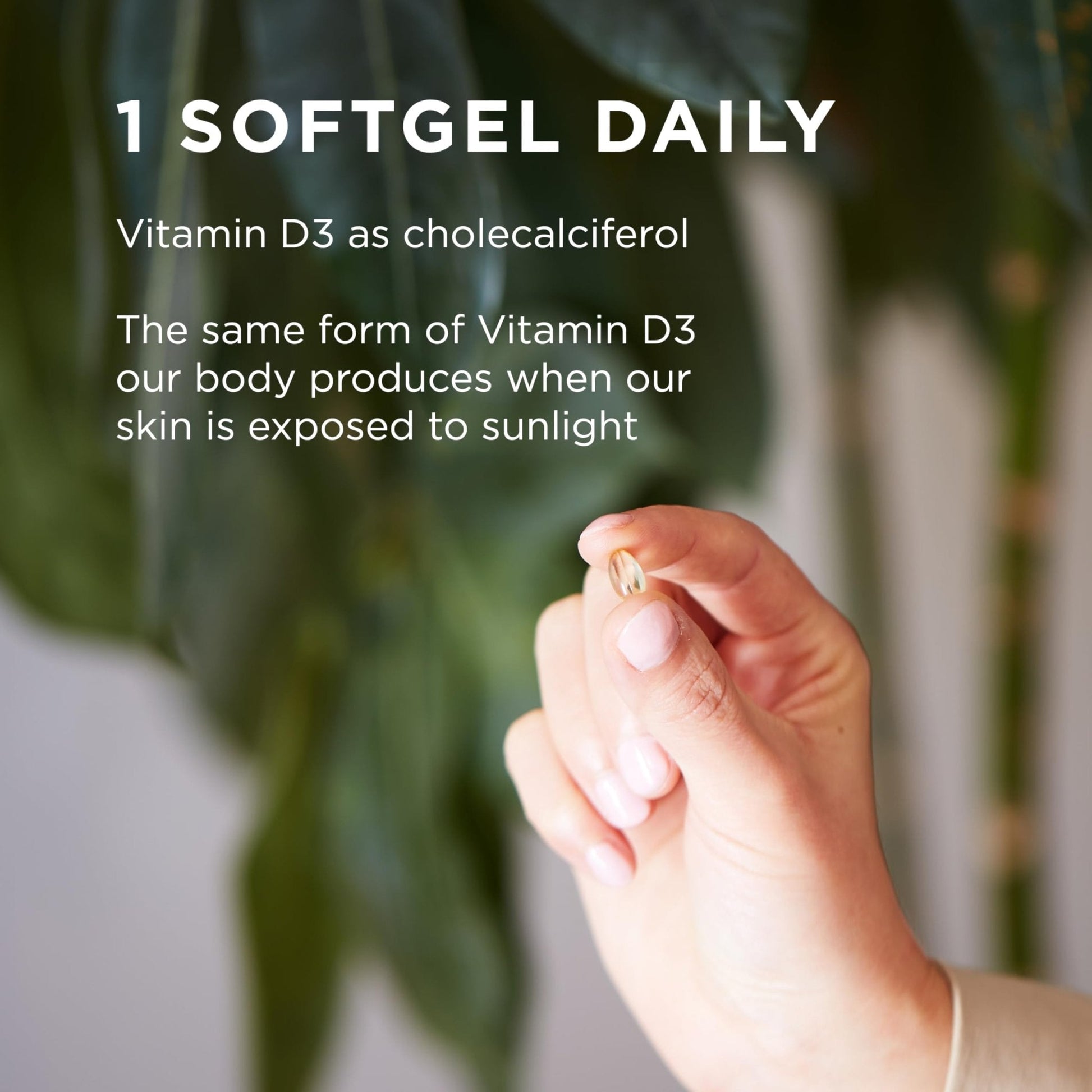 Solgar Vitamin D3 (Cholecalciferol) 250 MCG (10,000 IU), 120 Softgels - Helps Maintain Healthy Bones & Teeth - Immune System Support - Maple Wellness Supplements