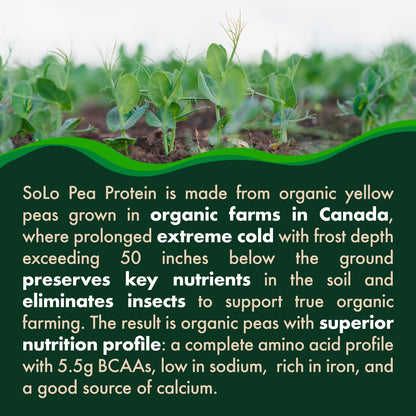 SOLO Organic Pea Protein Isolate, Low in Sodium, Canada Grown Peas, 100% Vegan, Non-GMO, Unflavored Plant Based Protein Powder with BCAA, Keto & Paleo Friendly, - Maple Wellness Supplements