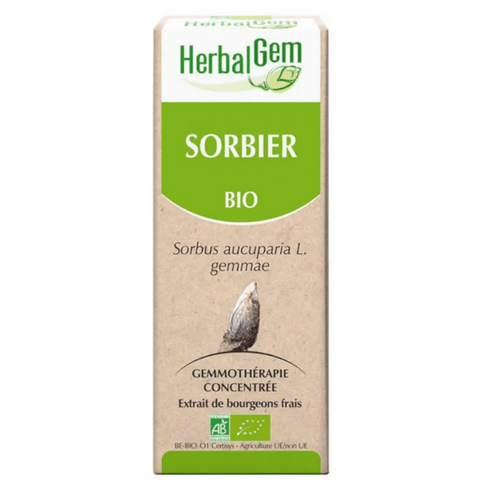 Sorbier BIO Macérat mère Flacon 30 ml HERBALGEM - Maple Wellness Supplements