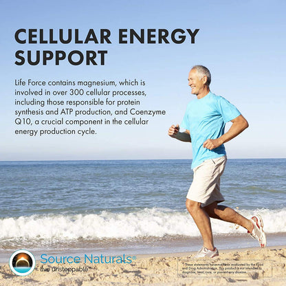 Source Naturals Life Force Multiple Iron Free Daily Multivitamin High Potency Essential Vitamins, Minerals, Antioxidants & Nutrients - Energy & Immune Boost* - 60 Capsules - Maple Wellness Supplements