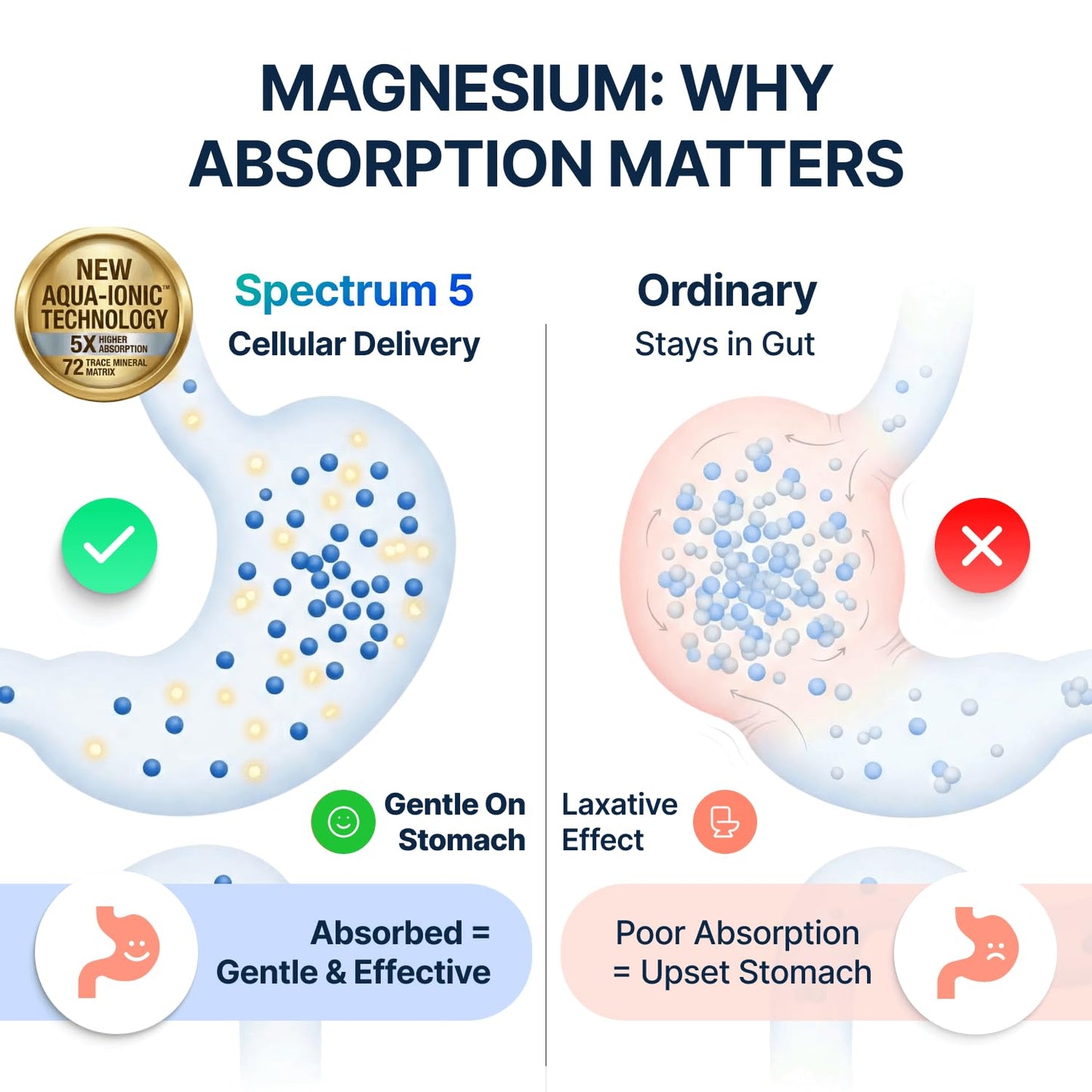 Spectrum 5 Magnesium | 5-in-1 Complex + 72 Trace Minerals for Enhanced Absorption | Irish Sea Sourced | 500mg per Serving - Maple Wellness Supplements