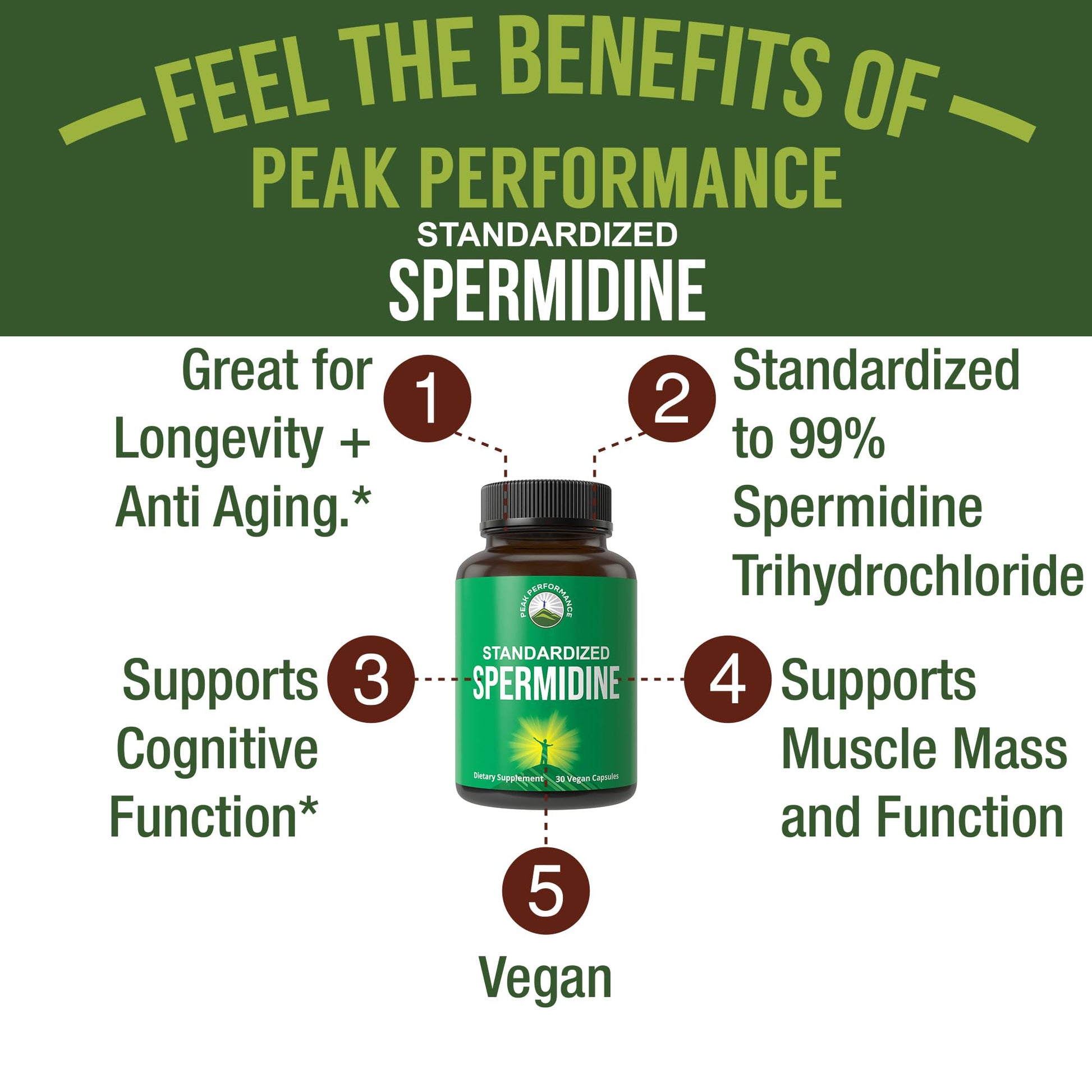 Spermidine Supplement Ultra High Strength Standardized to 99% Spermidine Trihydrochloride. More Potent Than Wheat Germ Extract. Vegan Capsules for Healthy Aging, Longevity. USA Tested Supplements - Maple Wellness Supplements