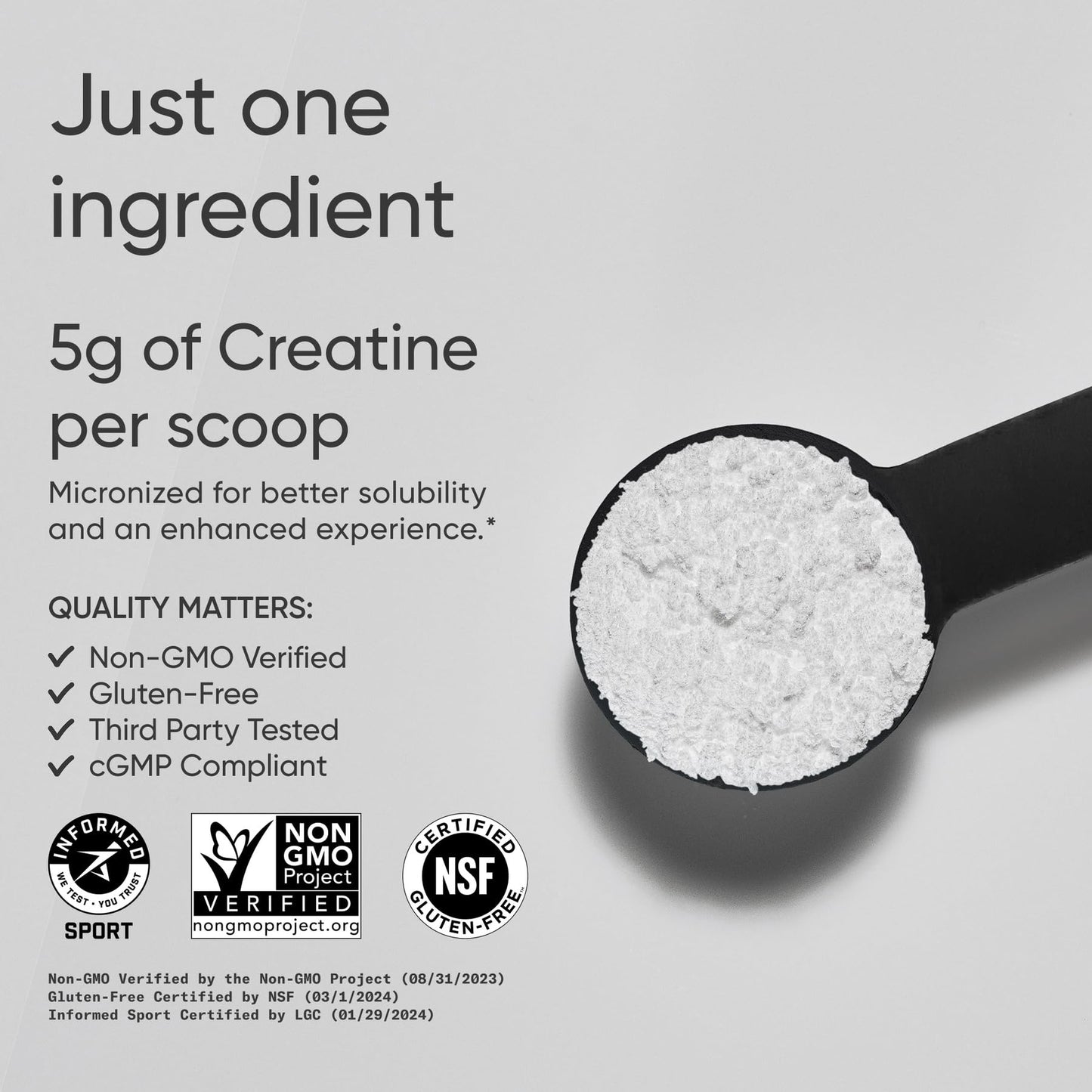 Sports Research Creatine Monohydrate - Gain Lean Muscle, Improve Performance and Strength and Support Workout Recovery* - 5 g Micronized Creatine - 17.64 oz - Maple Wellness Supplements